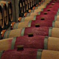 sitio web Bodegas Familiares de Rioja